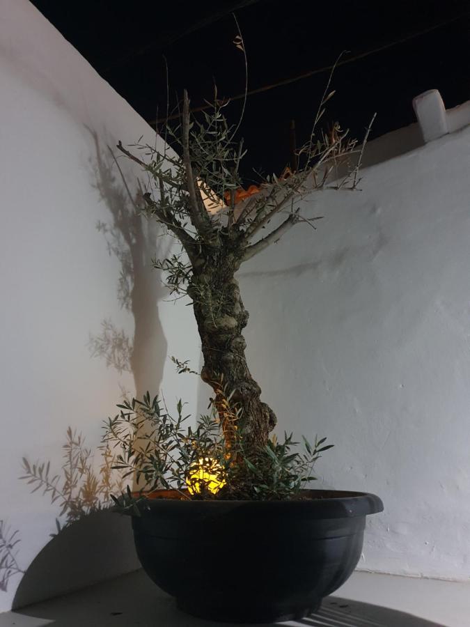 Casa Delaluz Βίλα Αλτέα Εξωτερικό φωτογραφία